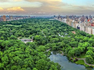 090603NewYorkCentralPark01bHDRNeu01b